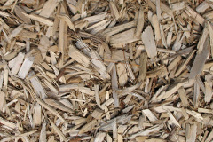 biomass boilers Luston